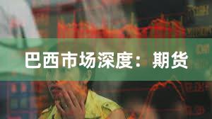 巴西市场深度：期货